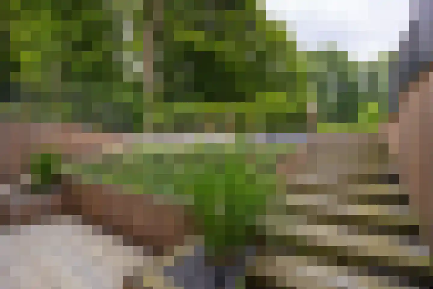Prins Hendrikweg 2 Bennekom thumbnail 73