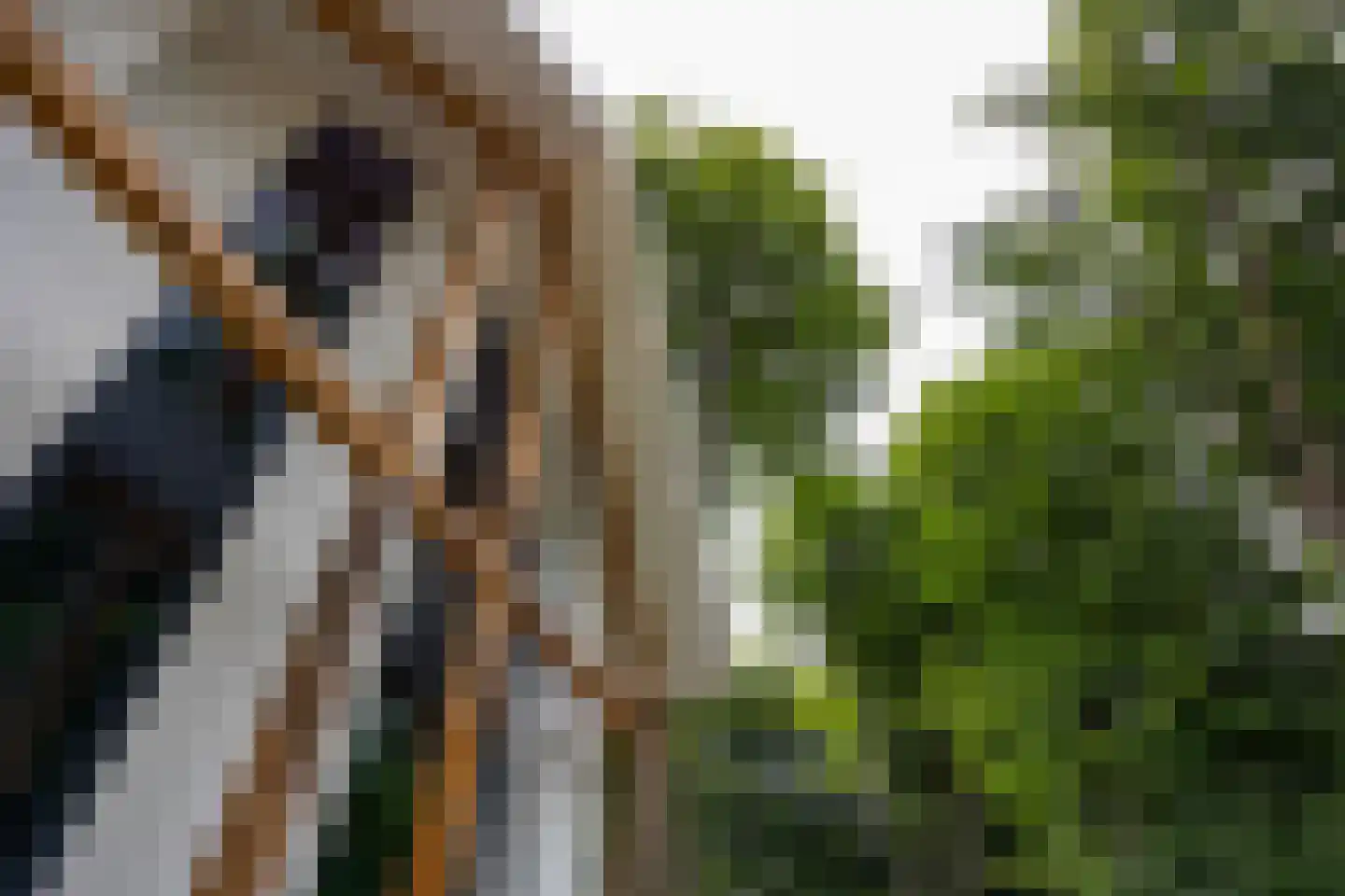 Prins Hendrikweg 2 Bennekom thumbnail 76