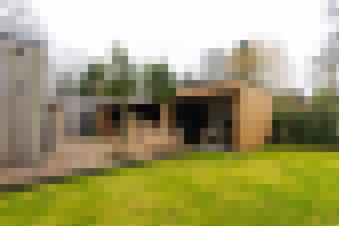 Prins Hendrikweg 2 Bennekom thumbnail 85