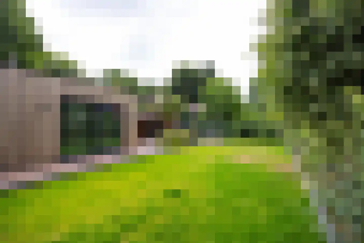 Prins Hendrikweg 2 Bennekom thumbnail 86