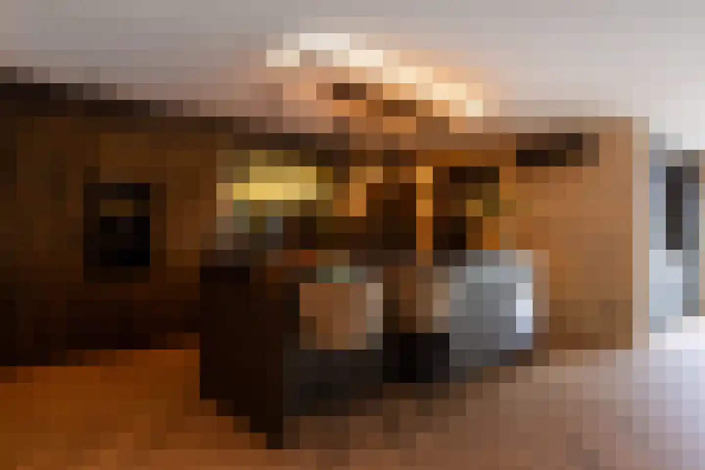 Prins Hendrikweg 2 Bennekom thumbnail 9