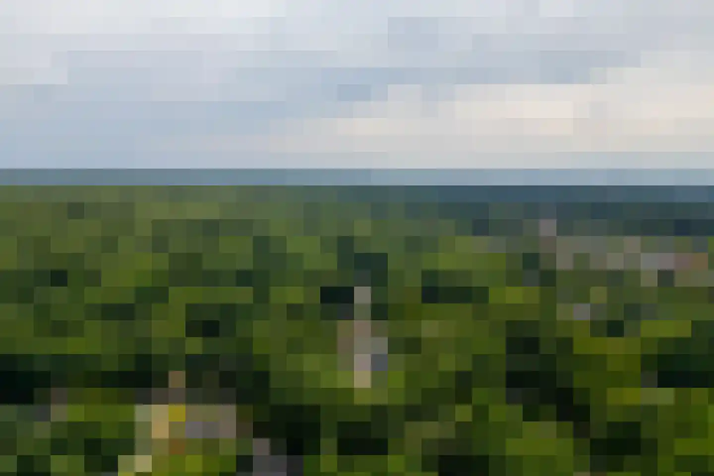 Prins Hendrikweg 2 Bennekom thumbnail 91