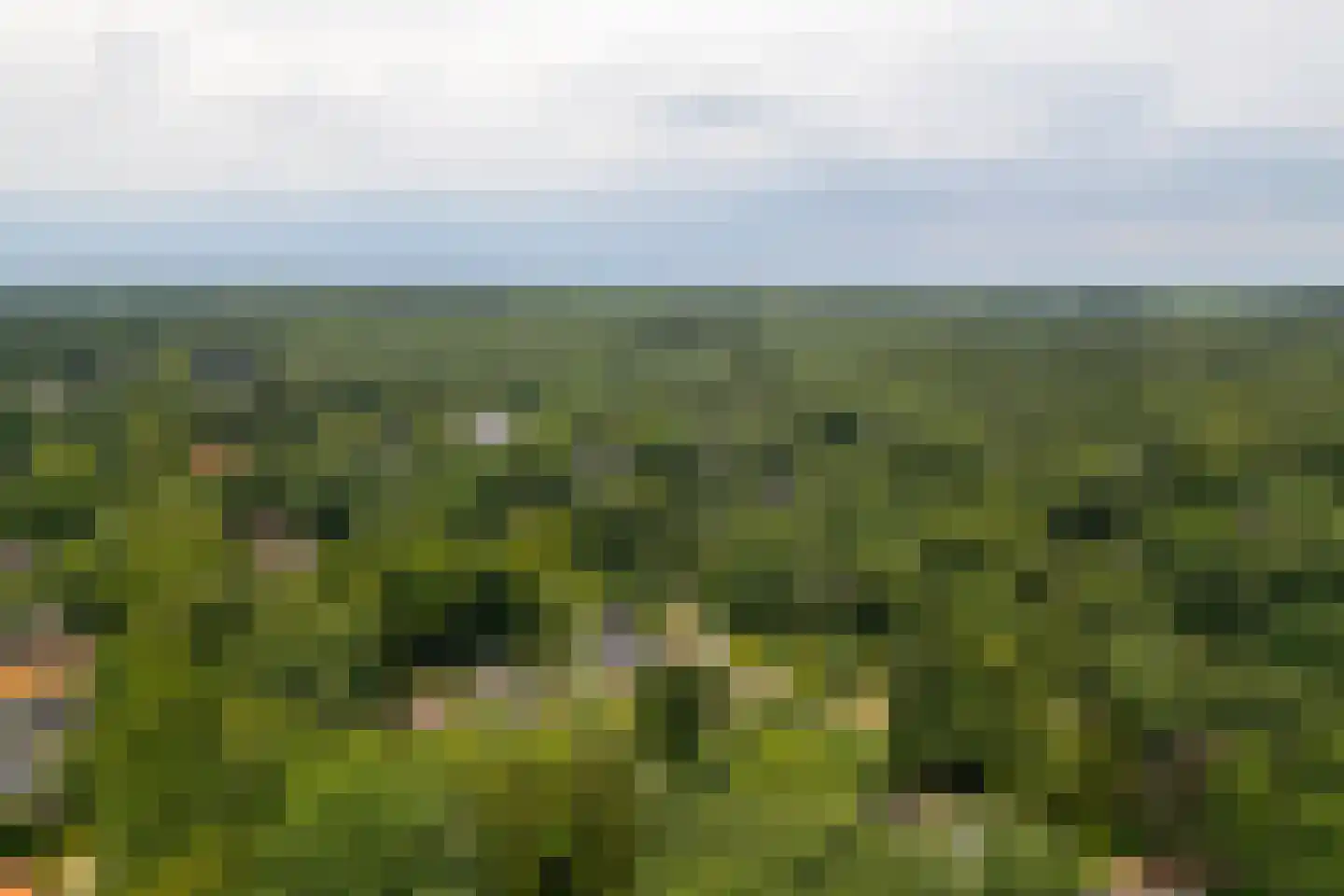 Prins Hendrikweg 2 Bennekom thumbnail 93