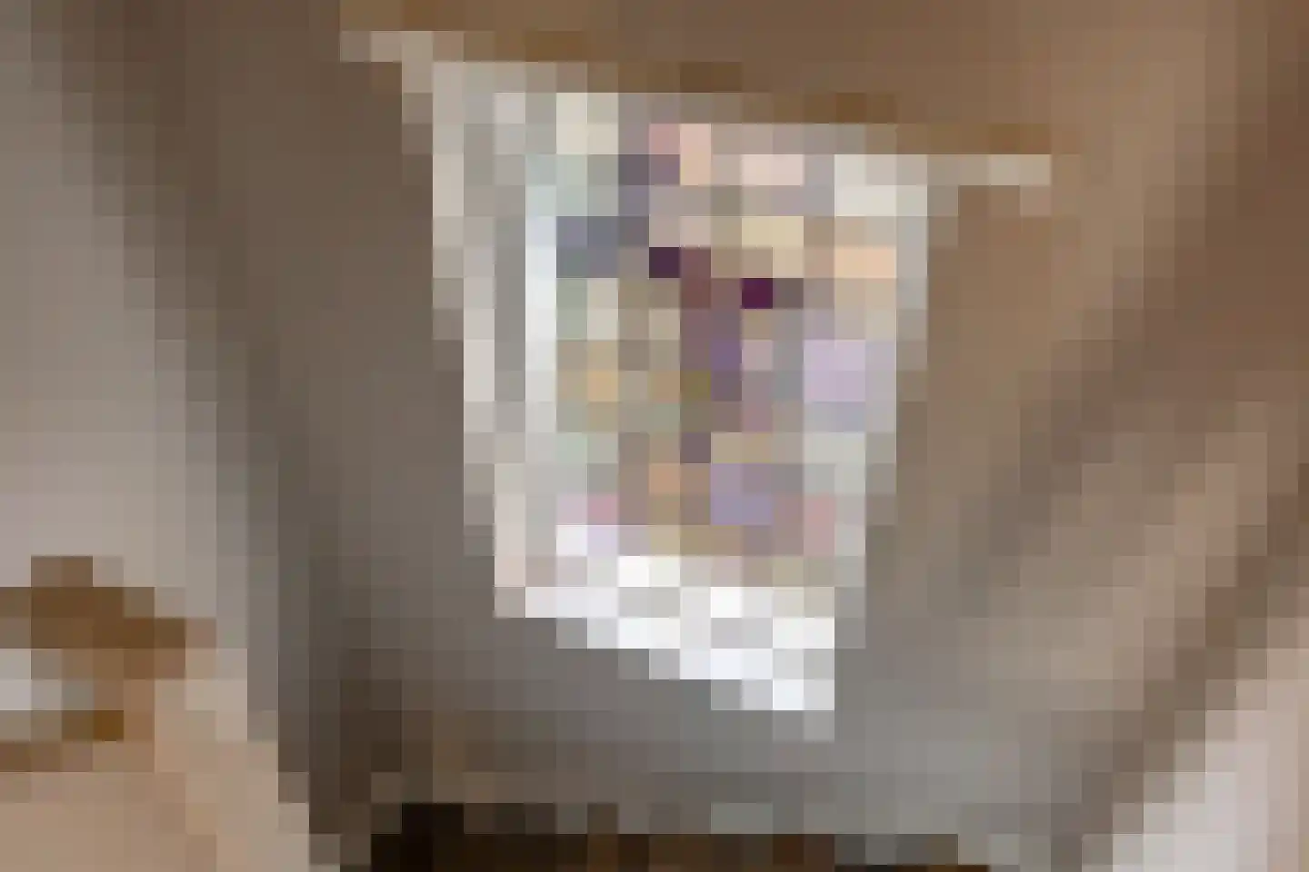 Prins Hendrikweg 2 Doorn thumbnail 24