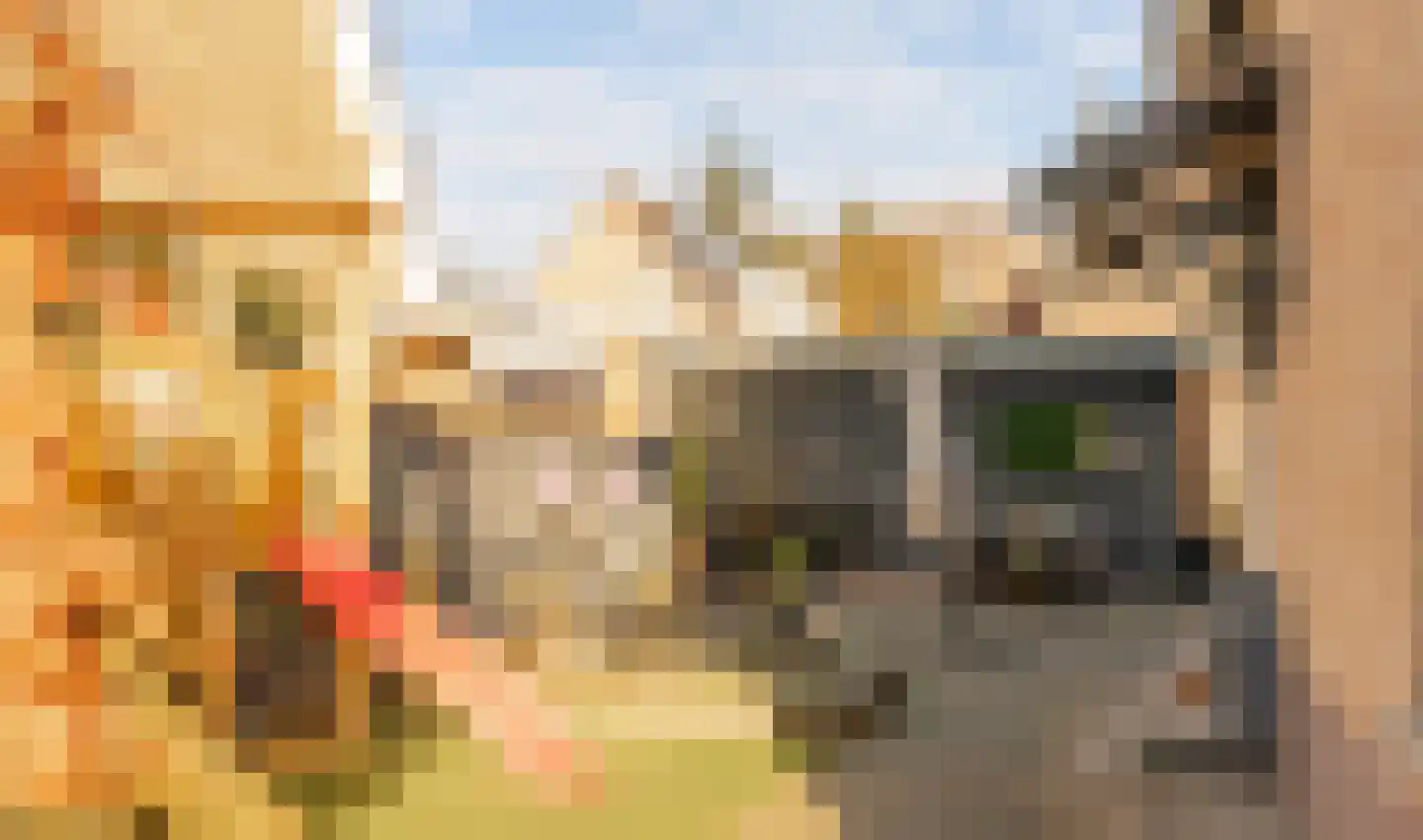 Prins Hendrikweg 2 Doorn thumbnail 37