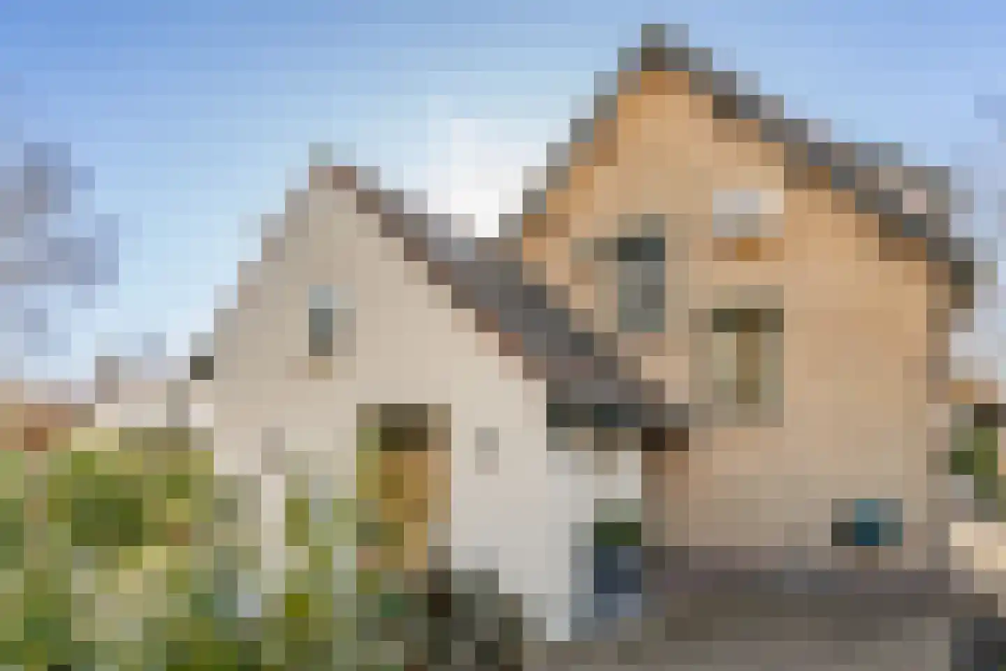 Prins Hendrikweg 2 Doorn thumbnail 40
