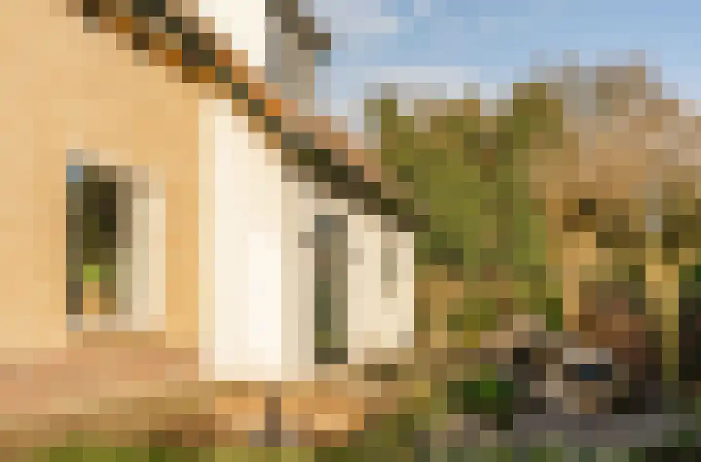 Prins Hendrikweg 2 Doorn thumbnail 41