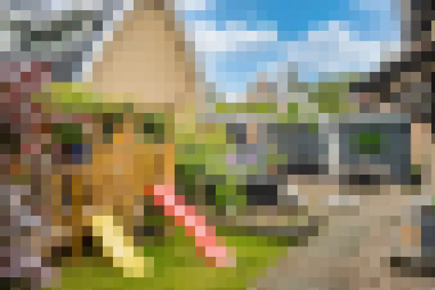 Prins Hendrikweg 2 Doorn thumbnail 42