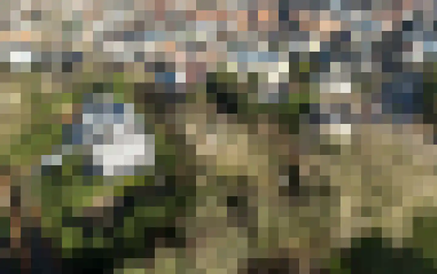 Prins Hendrikweg 2 Noordwijk thumbnail 8