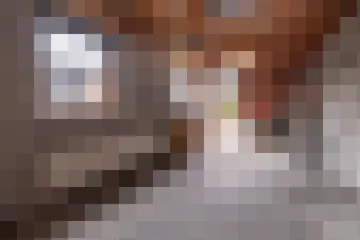 Prins Hendrikweg 26 Barneveld thumbnail 54