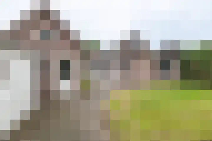 Prins Hendrikweg 26 Barneveld thumbnail 55