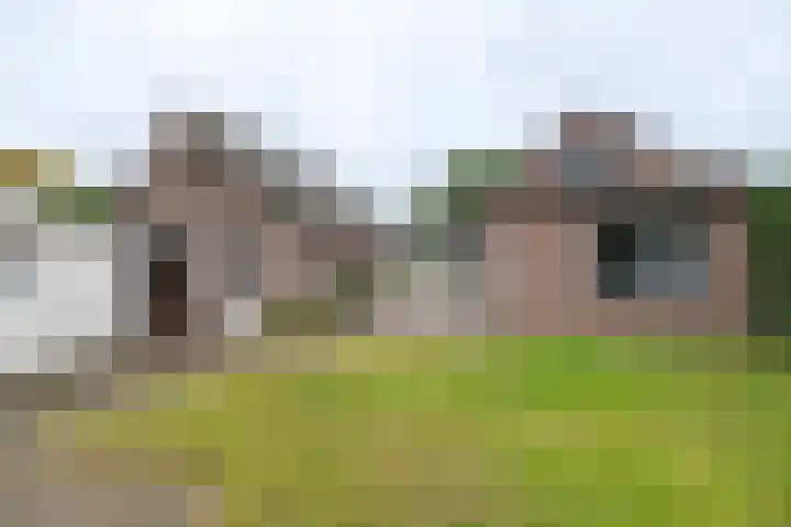 Prins Hendrikweg 26 Barneveld thumbnail 57