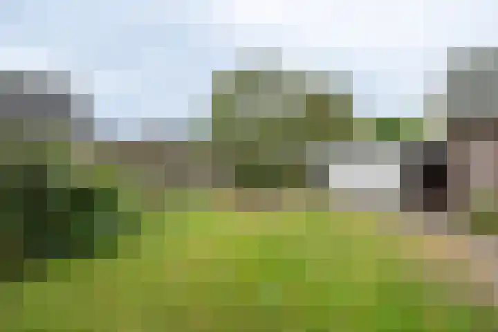 Prins Hendrikweg 26 Barneveld thumbnail 58