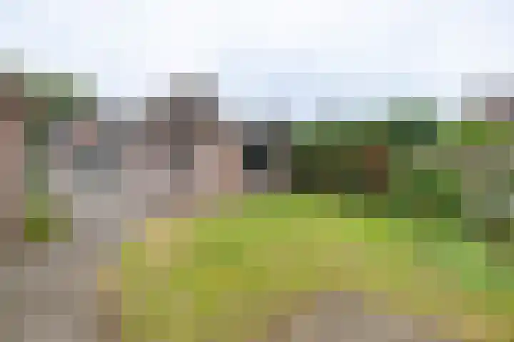 Prins Hendrikweg 26 Barneveld thumbnail 59