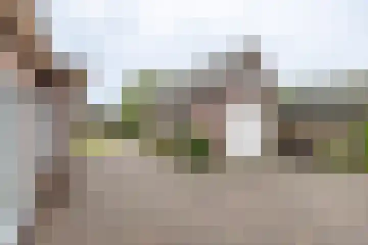 Prins Hendrikweg 26 Barneveld thumbnail 61