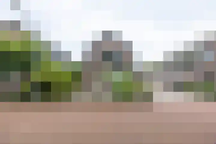 Prins Hendrikweg 26 Barneveld thumbnail 64