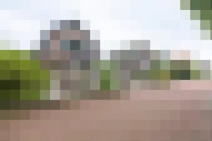 Prins Hendrikweg 26 Barneveld thumbnail 65