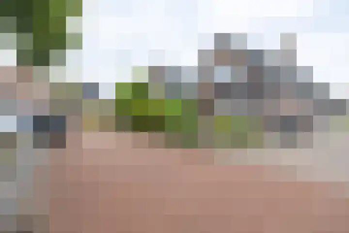 Prins Hendrikweg 26 Barneveld thumbnail 66