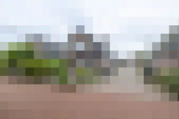 Prins Hendrikweg 26 Barneveld thumbnail 68