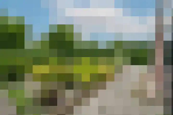 Prins Hendrikweg 30 Ouddorp thumbnail 32