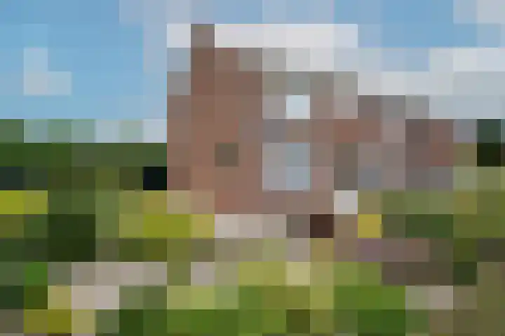 Prins Hendrikweg 30 Ouddorp thumbnail 6