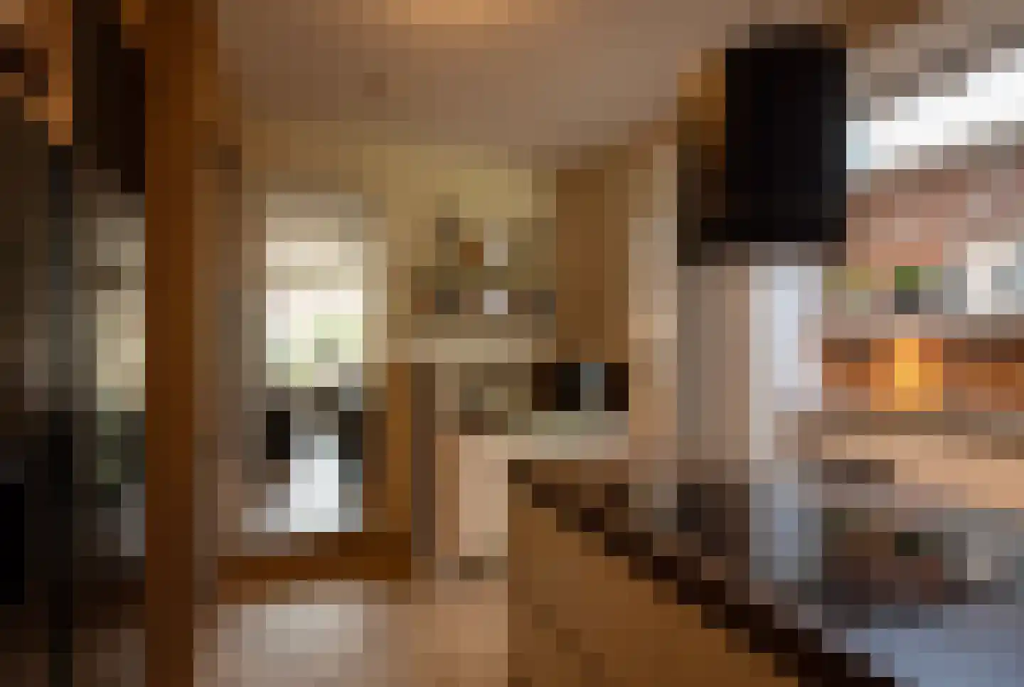 Prins Hendrikweg 33 Putten thumbnail 8