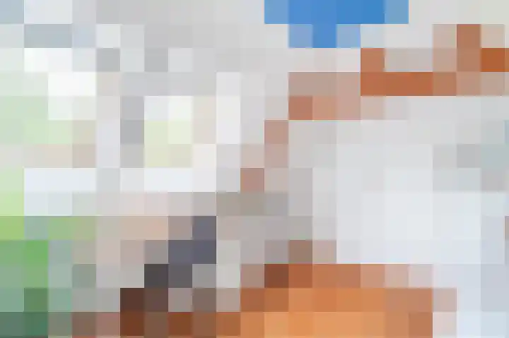 Prins Hendrikweg 34 Doorn thumbnail 30