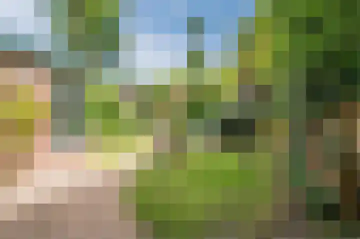 Prins Hendrikweg 34 Doorn thumbnail 36