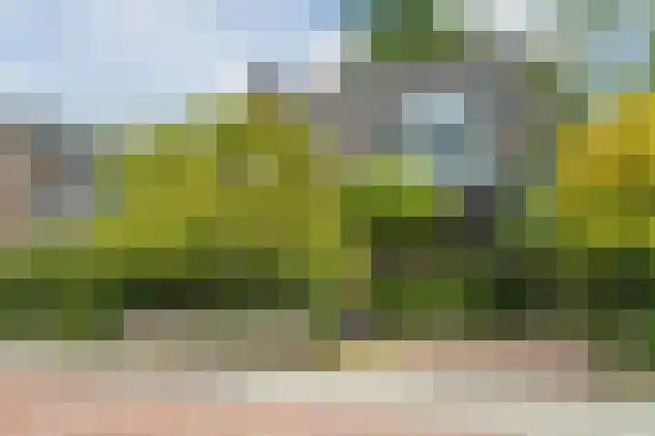 Prins Hendrikweg 34 Doorn thumbnail 6