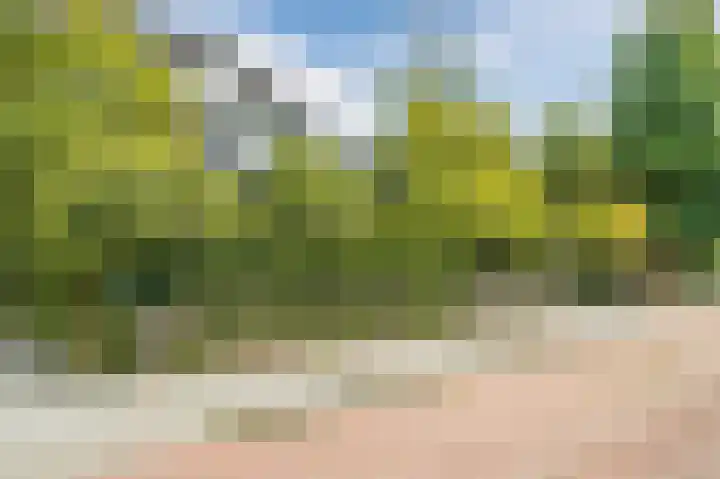 Prins Hendrikweg 34 Doorn thumbnail 7