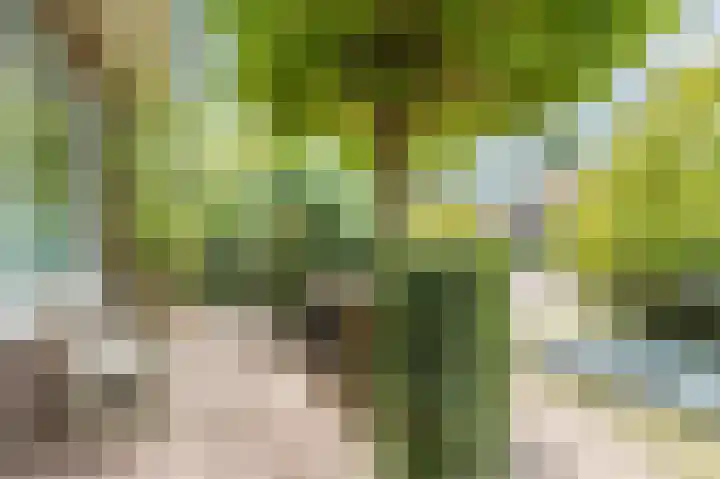 Prins Hendrikweg 34 Doorn thumbnail 9