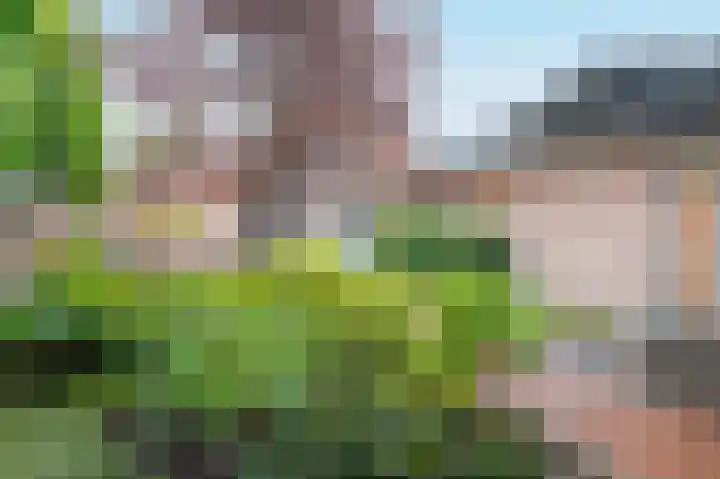 Prins Hendrikweg 35 Putten thumbnail 38