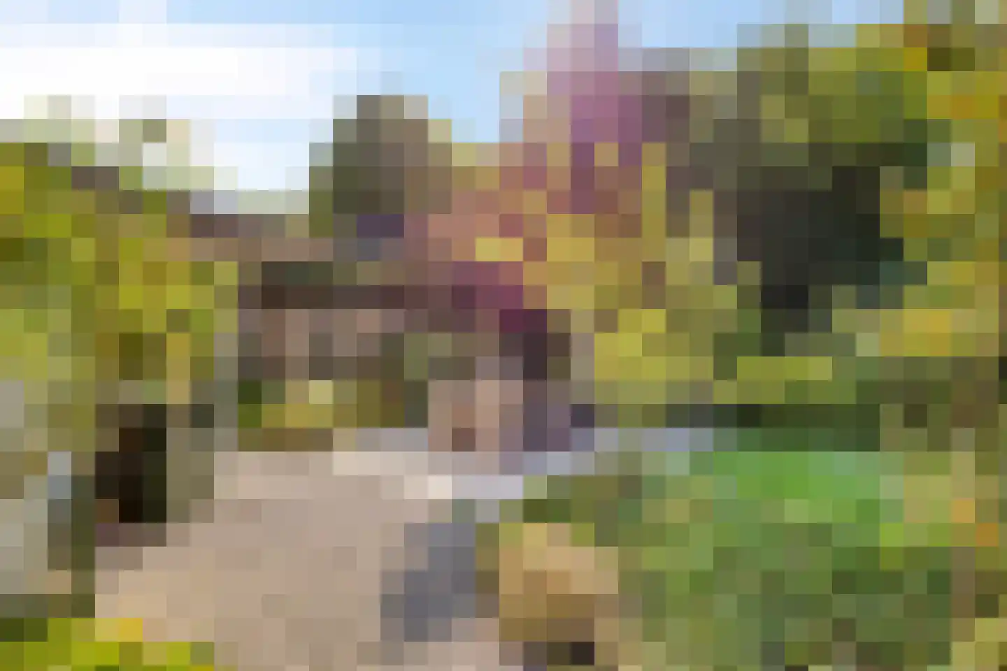 Prins Hendrikweg 37 Vaassen thumbnail 31