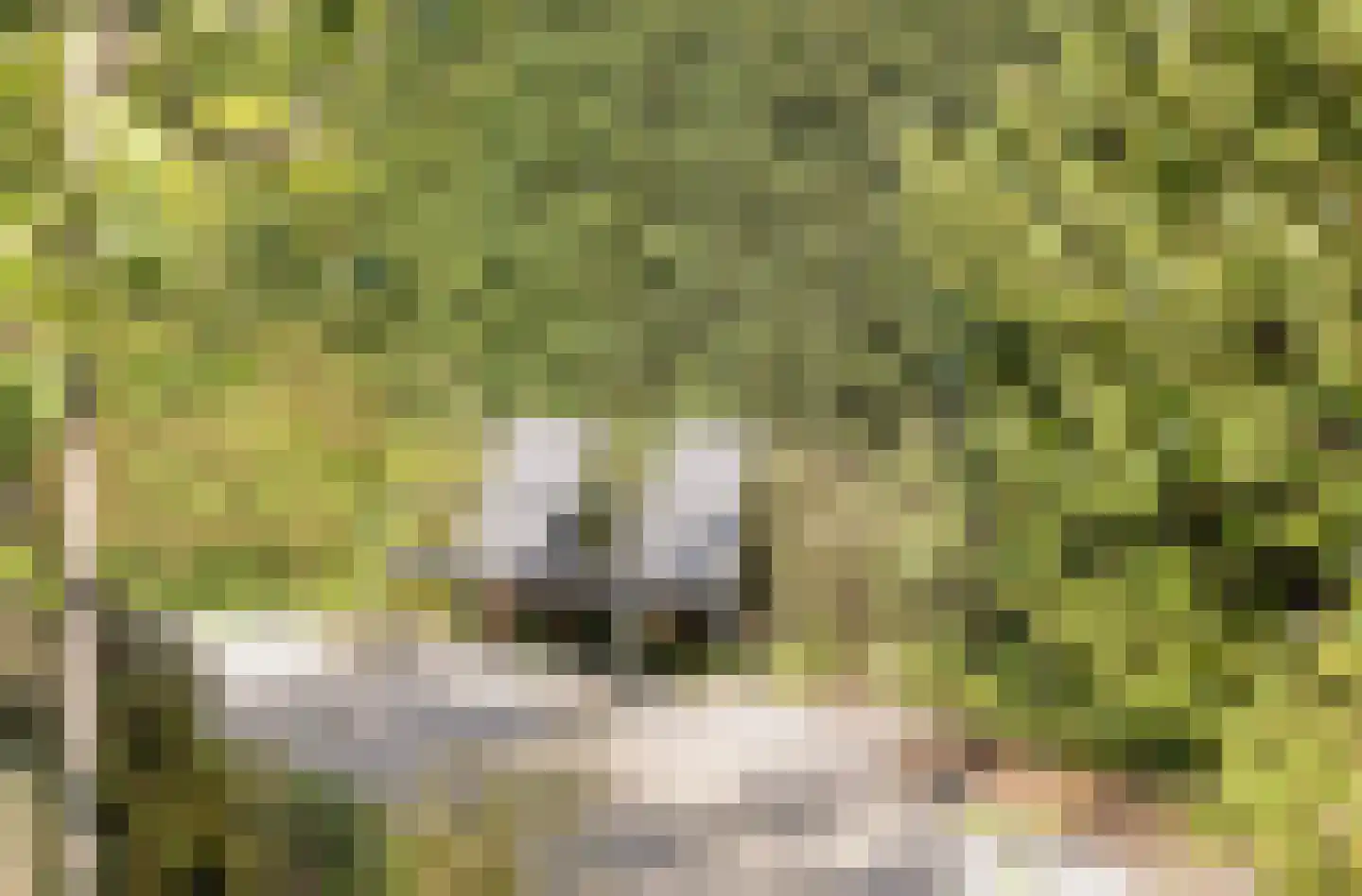 Prins Hendrikweg 37 Vaassen thumbnail 32