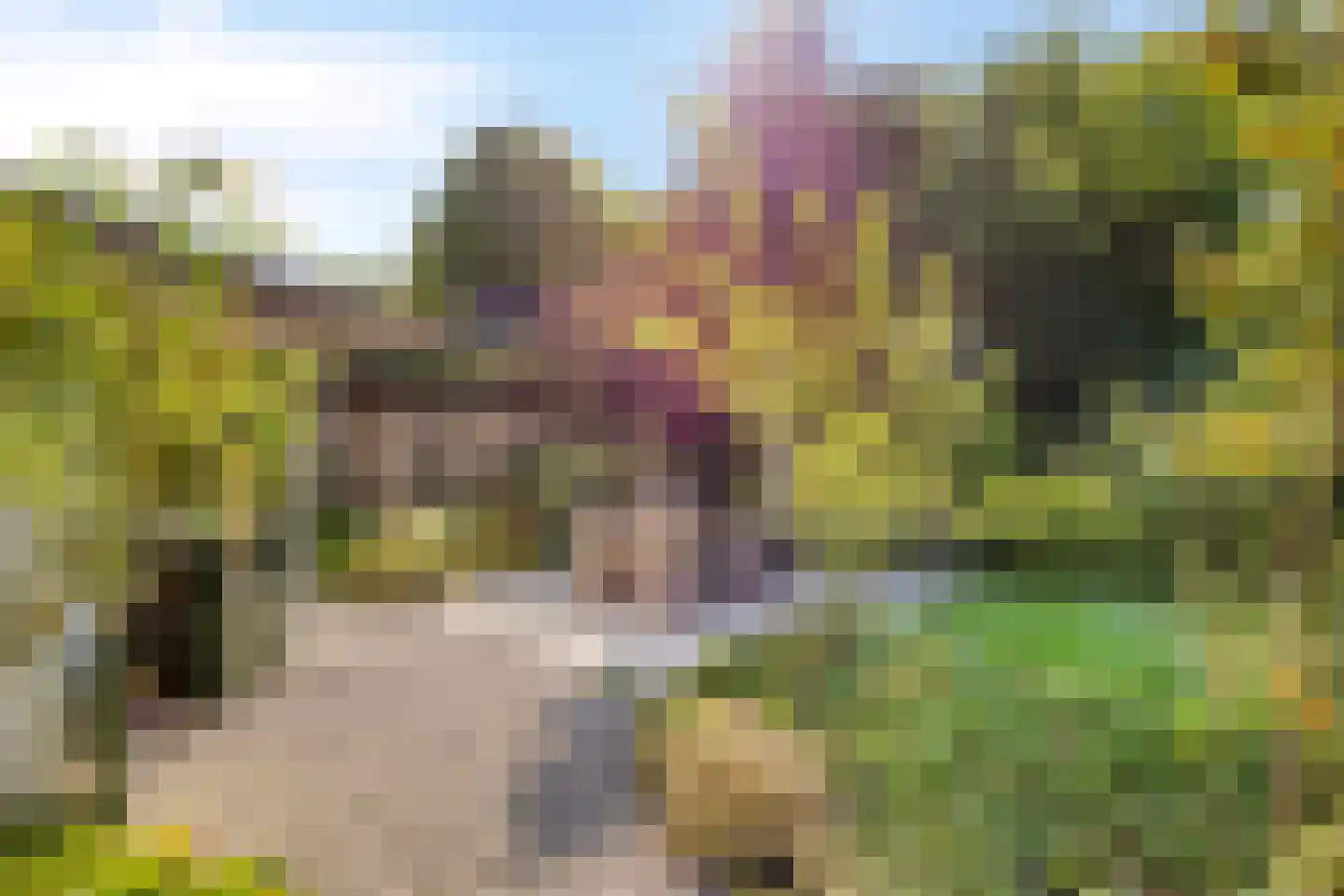 Prins Hendrikweg 37 Vaassen thumbnail 34