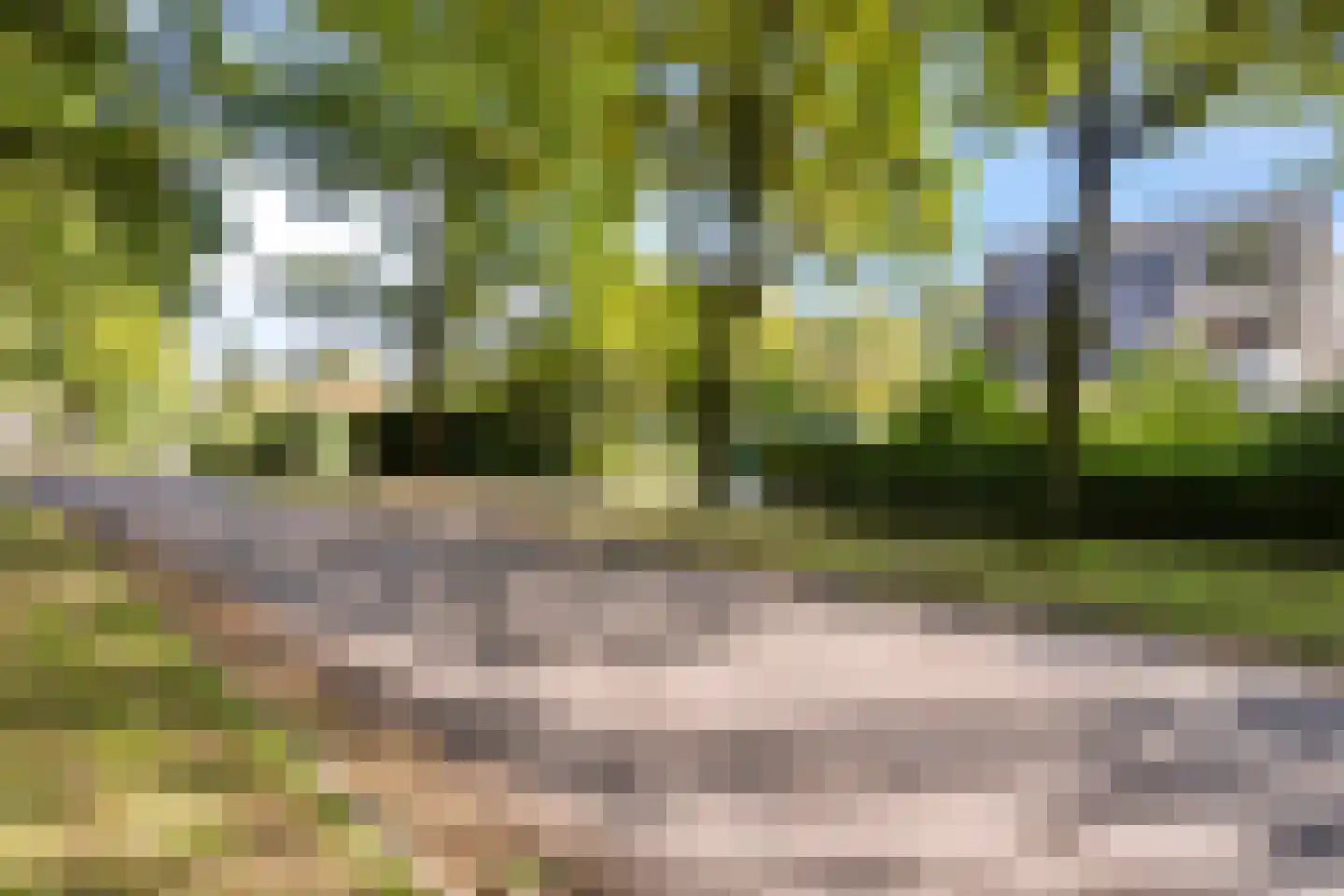 Prins Hendrikweg 37 Vaassen thumbnail 39