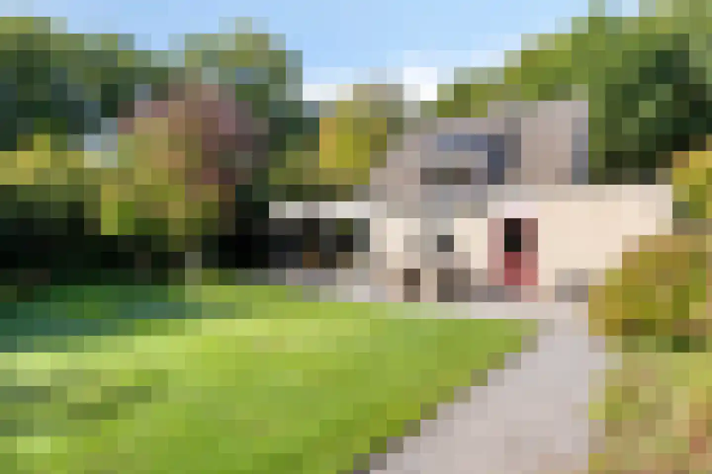 Prins Hendrikweg 37 Vaassen thumbnail 39