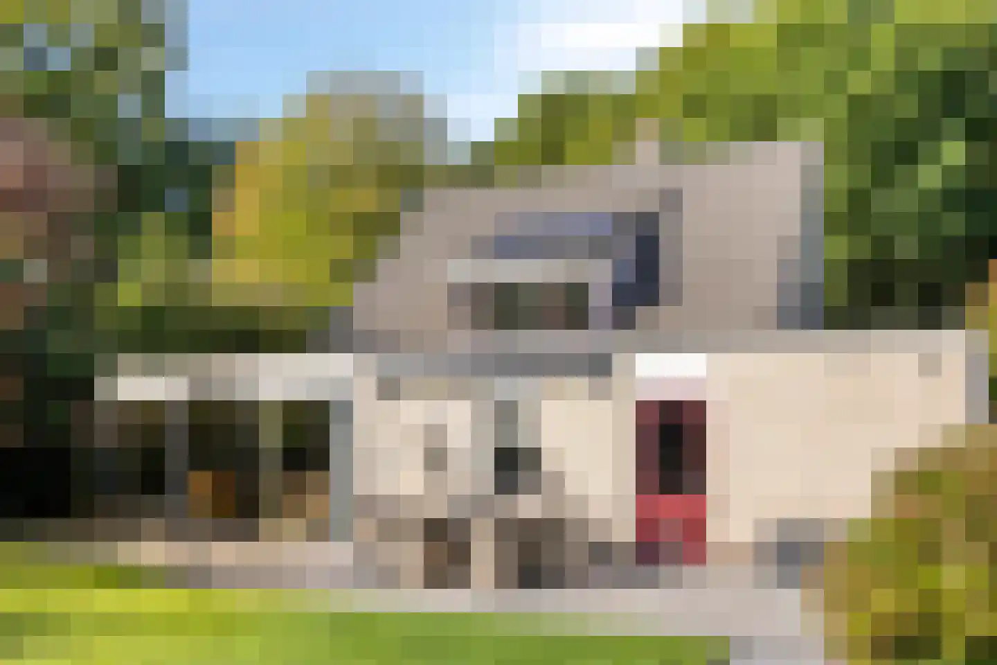 Prins Hendrikweg 37 Vaassen thumbnail 40