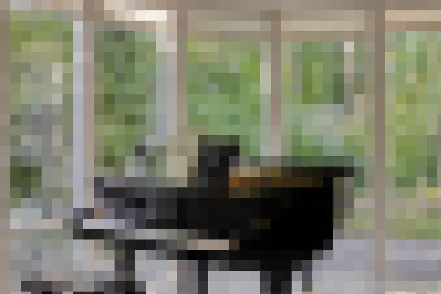 Prins Hendrikweg 37 Vaassen thumbnail 7