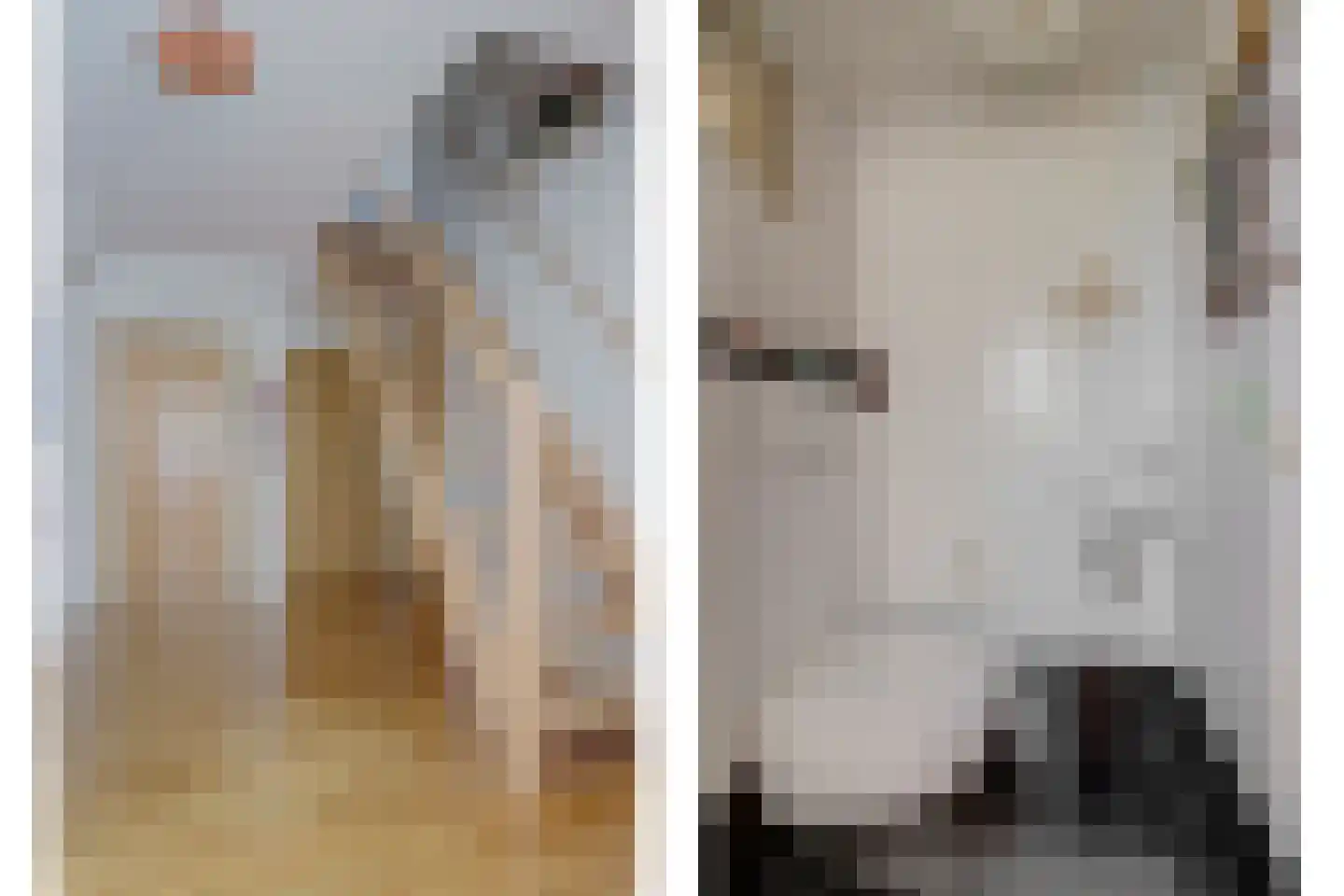Prins Hendrikweg 4 a Wijk bij Duurstede thumbnail 20