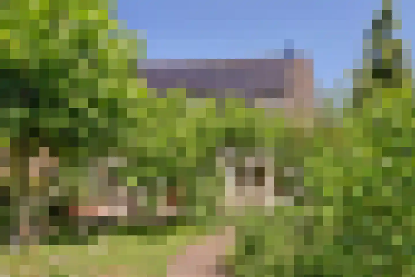 Prins Hendrikweg 4 a Wijk bij Duurstede thumbnail 34