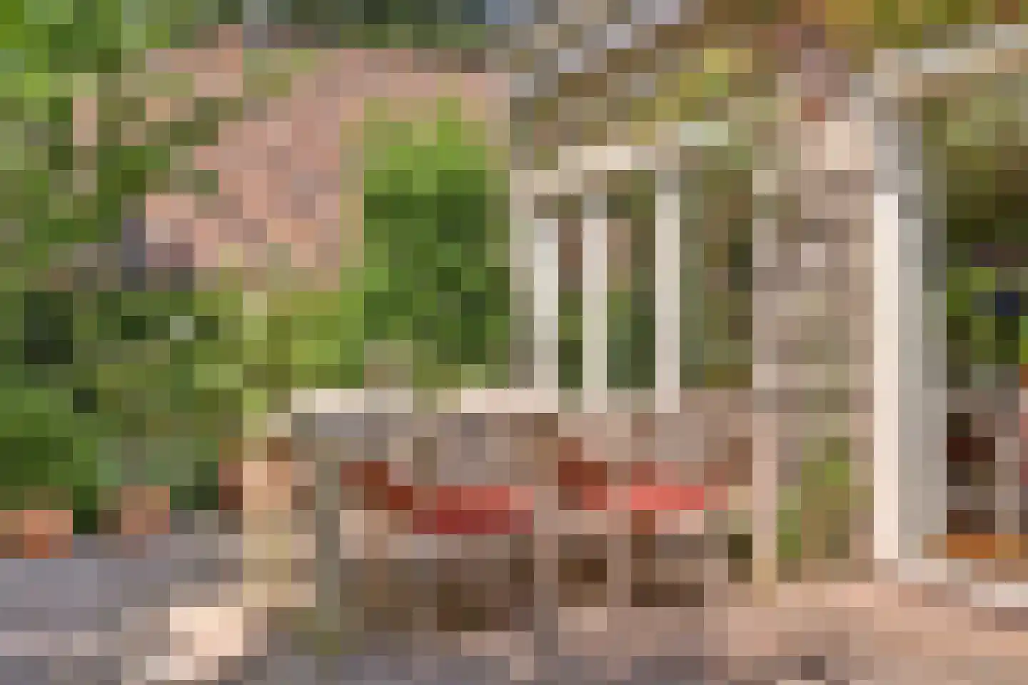 Prins Hendrikweg 4 a Wijk bij Duurstede thumbnail 35