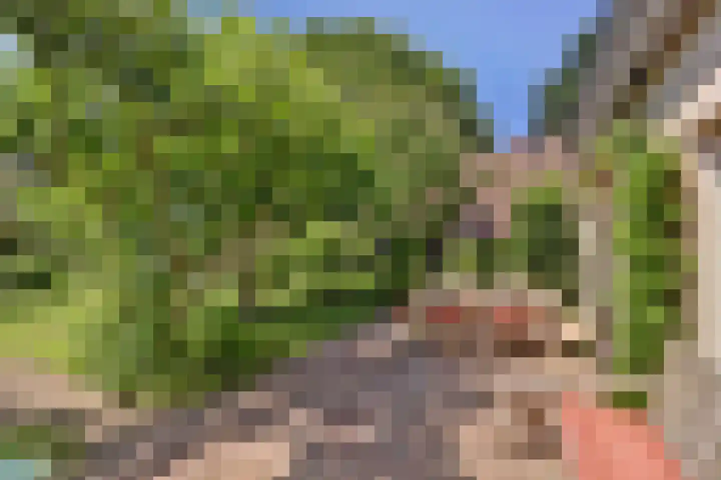 Prins Hendrikweg 4 a Wijk bij Duurstede thumbnail 37