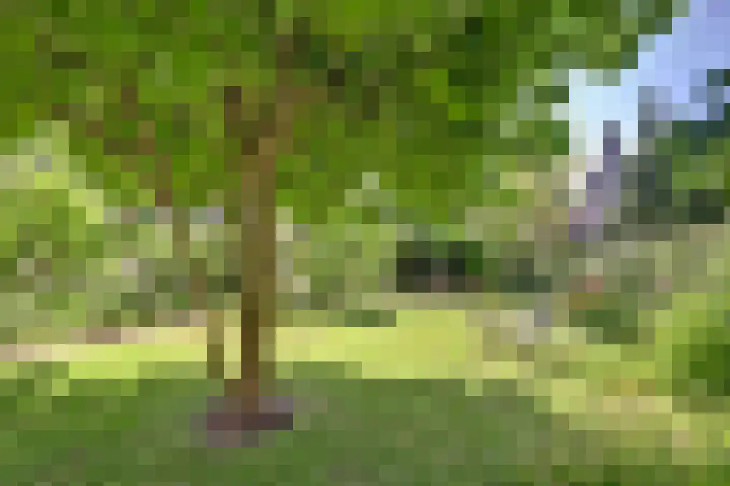 Prins Hendrikweg 4 a Wijk bij Duurstede thumbnail 38