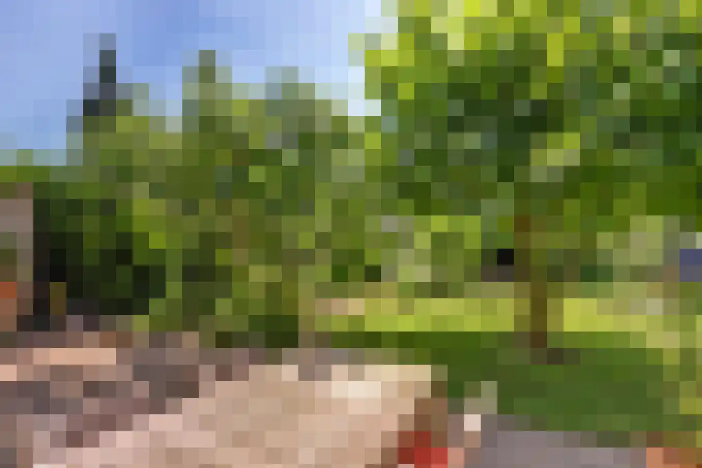 Prins Hendrikweg 4 a Wijk bij Duurstede thumbnail 41