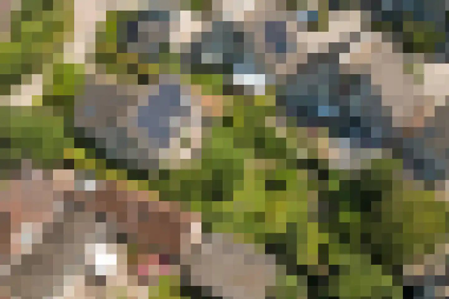 Prins Hendrikweg 4 a Wijk bij Duurstede thumbnail 47