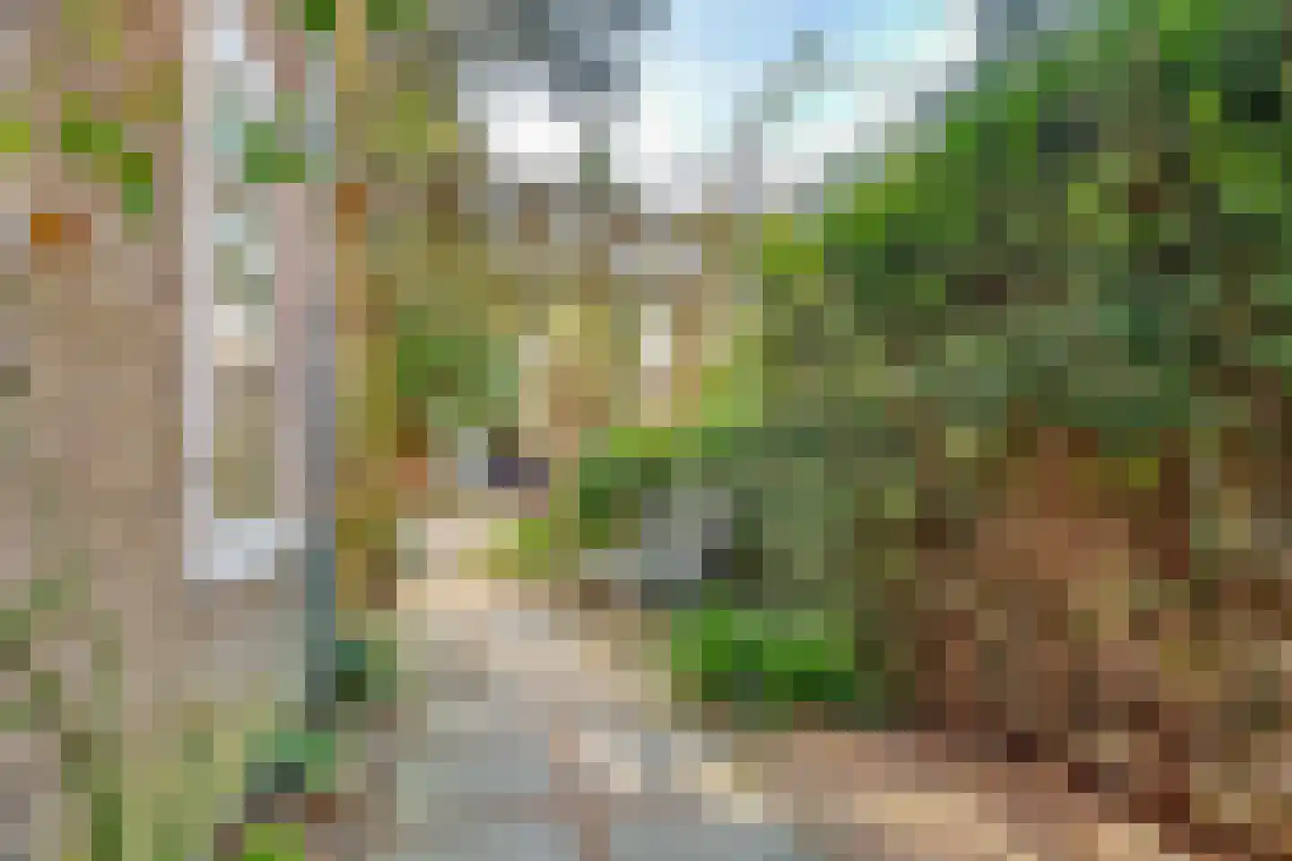Prins Hendrikweg 46 Doorn thumbnail 5
