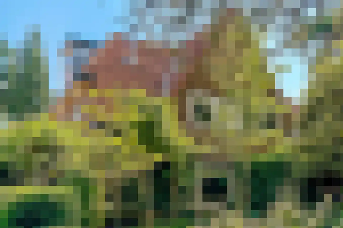 Prins Hendrikweg 46 Doorn thumbnail 54