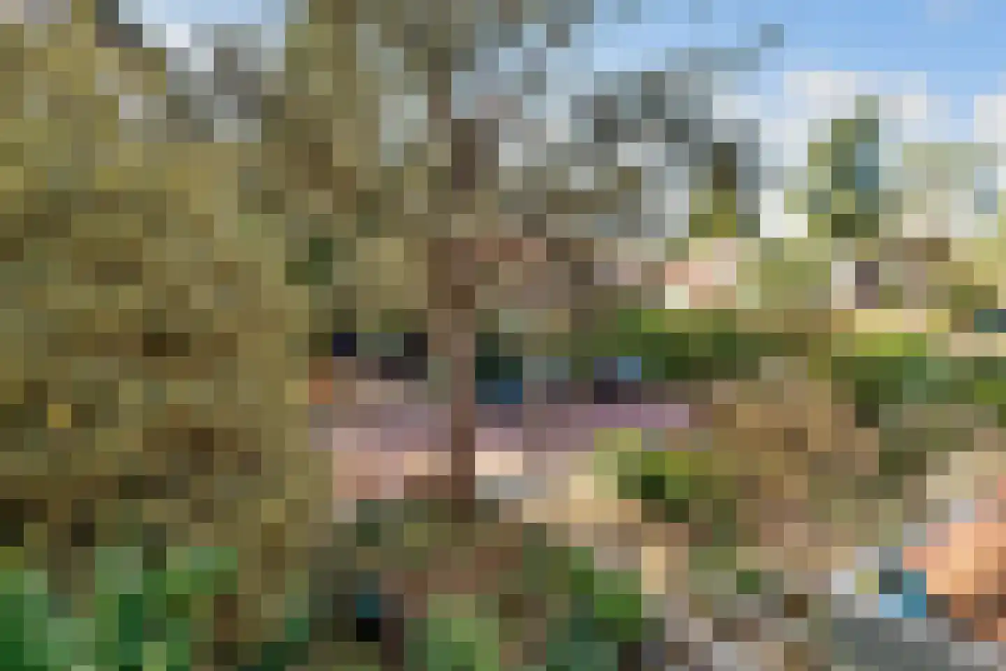 Prins Hendrikweg 46 Doorn thumbnail 60
