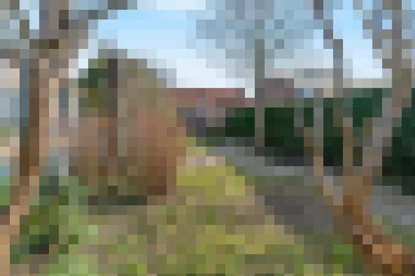 Prins Hendrikweg 49 Vleuten thumbnail 24